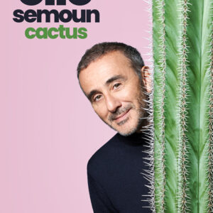 affiche de elie semoun