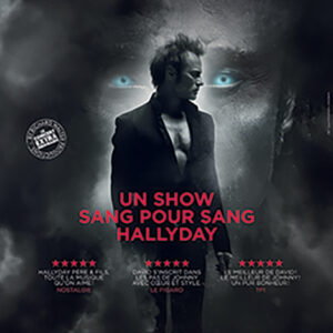 affiche du spectacle de david Hallyday